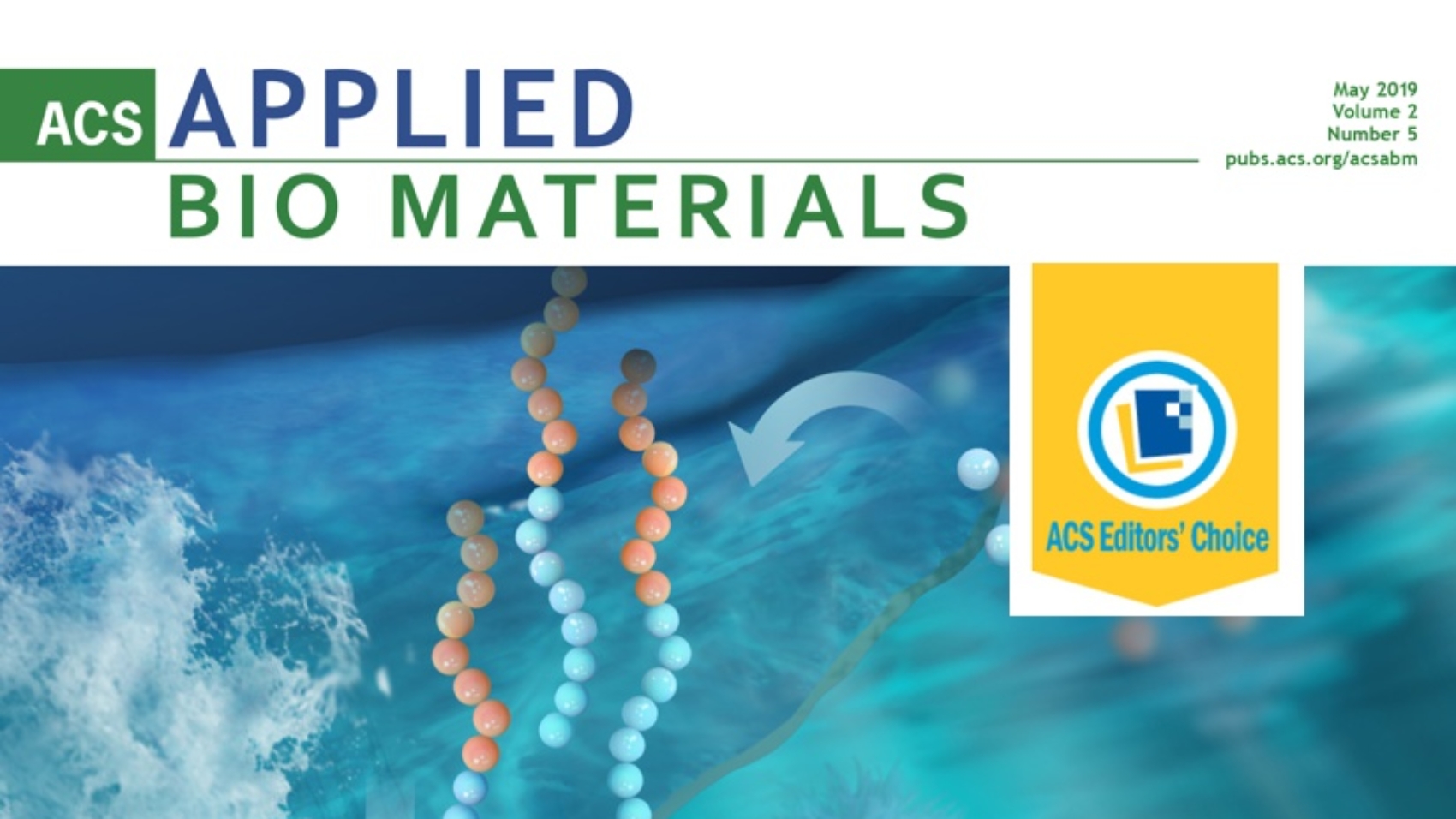 Blog - ACS Editors Choice