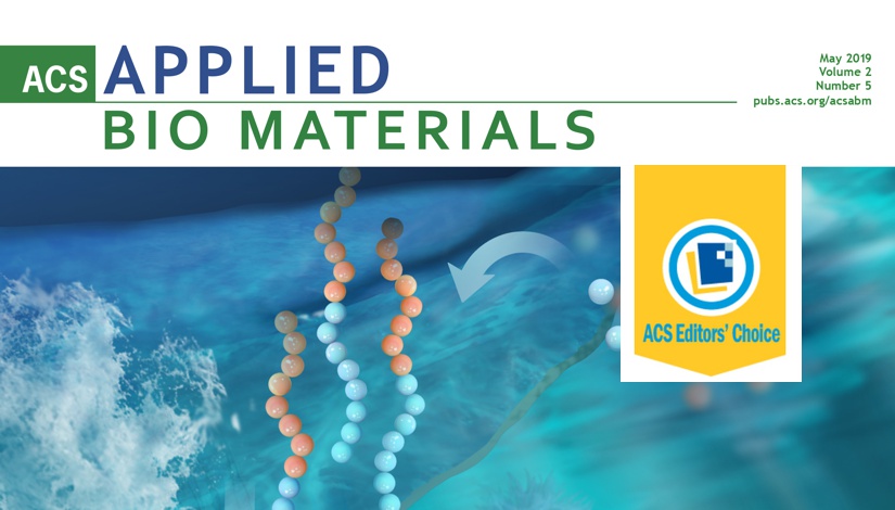 Blog - ACS Editors Choice