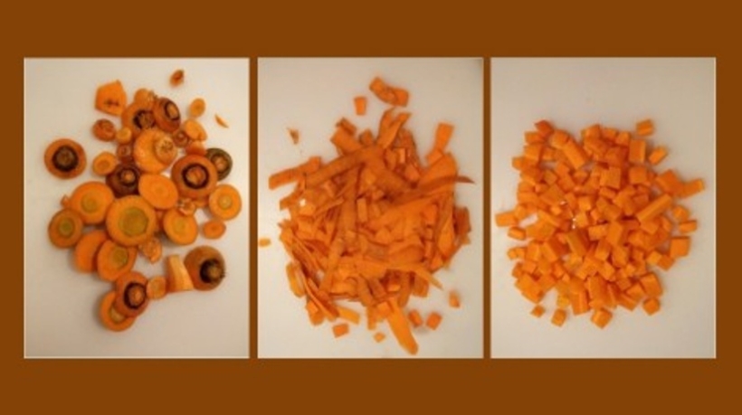 Blog - Agencia FAPESP waste