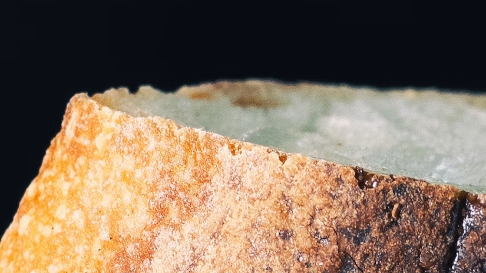Blog - Bread Mold