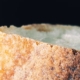 Blog - Bread Mold