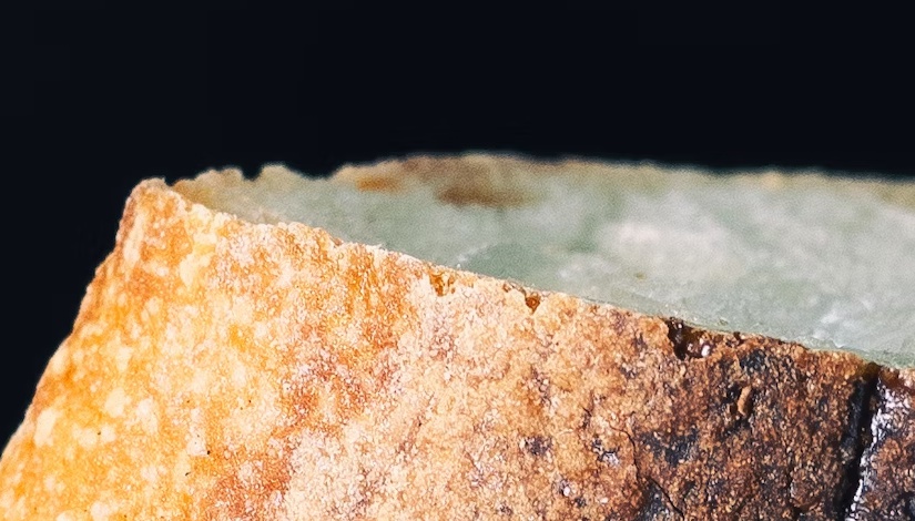 Blog - Bread Mold