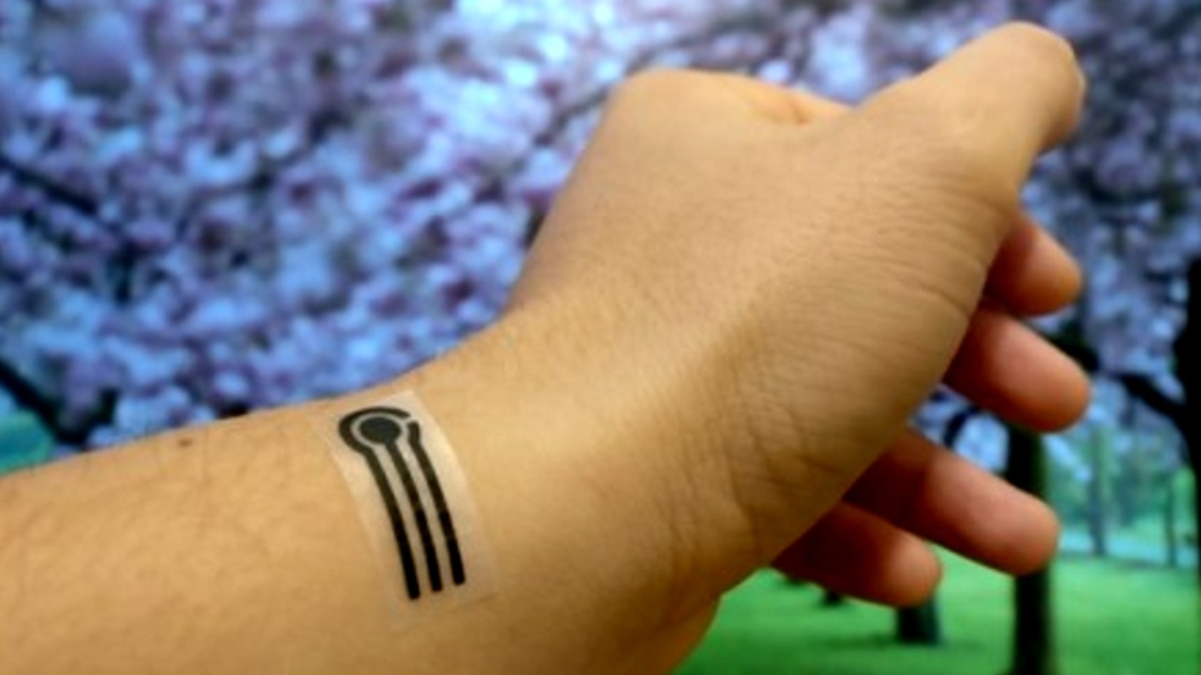 Blog - Wearable sensors